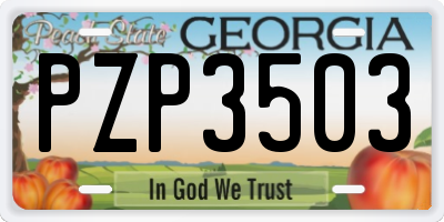 GA license plate PZP3503