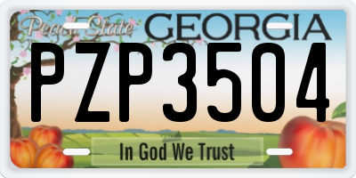 GA license plate PZP3504