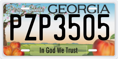 GA license plate PZP3505