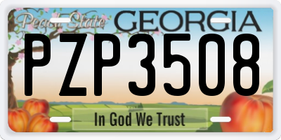 GA license plate PZP3508