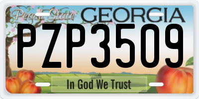 GA license plate PZP3509