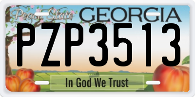GA license plate PZP3513