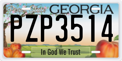 GA license plate PZP3514