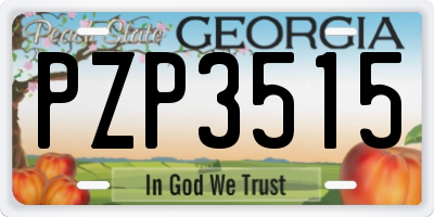 GA license plate PZP3515