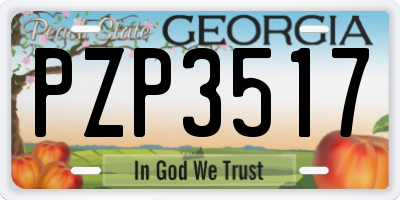 GA license plate PZP3517