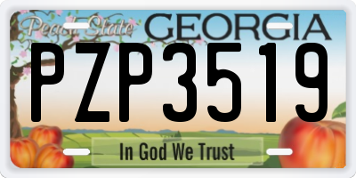 GA license plate PZP3519