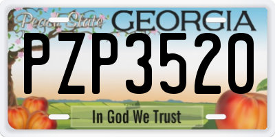 GA license plate PZP3520
