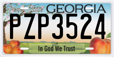 GA license plate PZP3524
