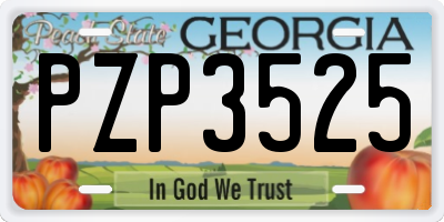 GA license plate PZP3525