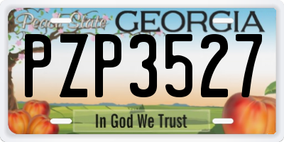 GA license plate PZP3527
