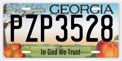 GA license plate PZP3528