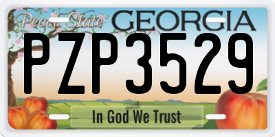 GA license plate PZP3529