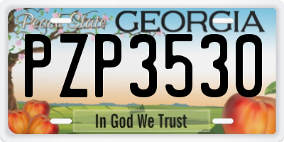 GA license plate PZP3530