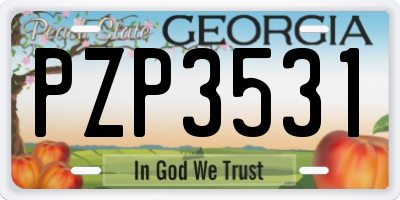 GA license plate PZP3531