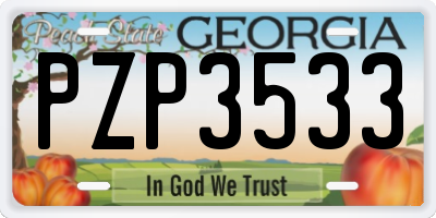 GA license plate PZP3533