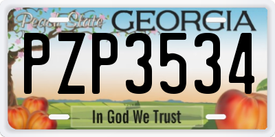 GA license plate PZP3534