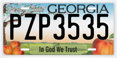 GA license plate PZP3535