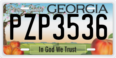 GA license plate PZP3536