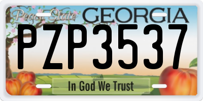GA license plate PZP3537
