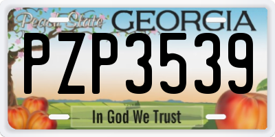 GA license plate PZP3539