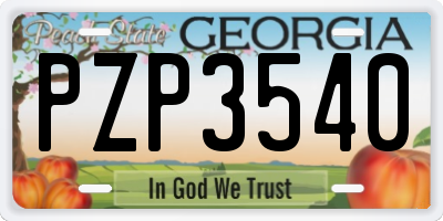 GA license plate PZP3540