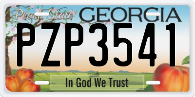 GA license plate PZP3541