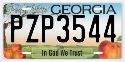GA license plate PZP3544