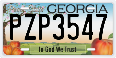 GA license plate PZP3547
