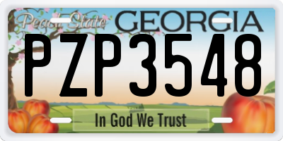 GA license plate PZP3548