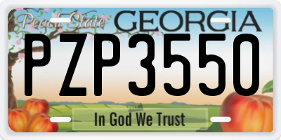 GA license plate PZP3550