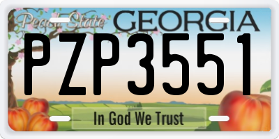 GA license plate PZP3551
