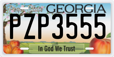 GA license plate PZP3555