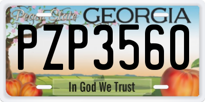 GA license plate PZP3560