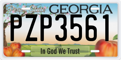 GA license plate PZP3561