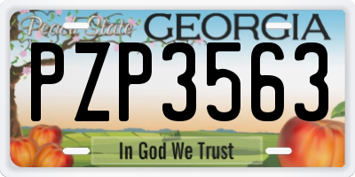 GA license plate PZP3563