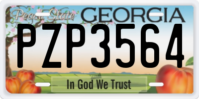 GA license plate PZP3564