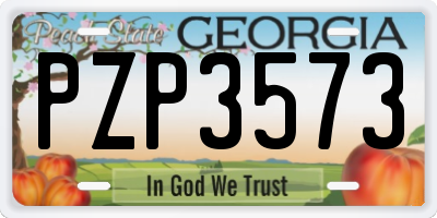 GA license plate PZP3573