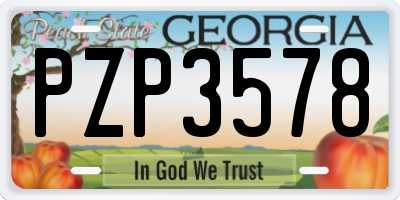 GA license plate PZP3578
