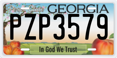 GA license plate PZP3579