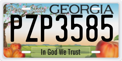 GA license plate PZP3585