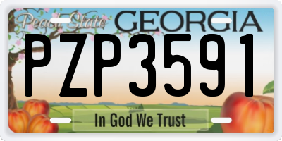 GA license plate PZP3591