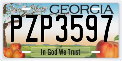 GA license plate PZP3597
