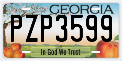 GA license plate PZP3599