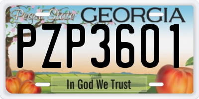 GA license plate PZP3601