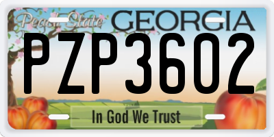GA license plate PZP3602