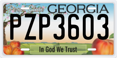 GA license plate PZP3603