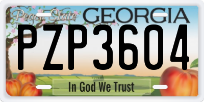 GA license plate PZP3604
