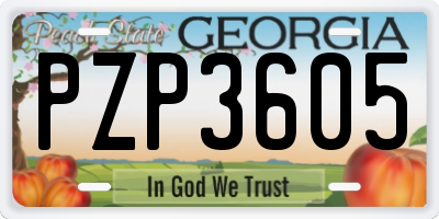 GA license plate PZP3605