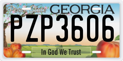 GA license plate PZP3606