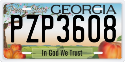 GA license plate PZP3608